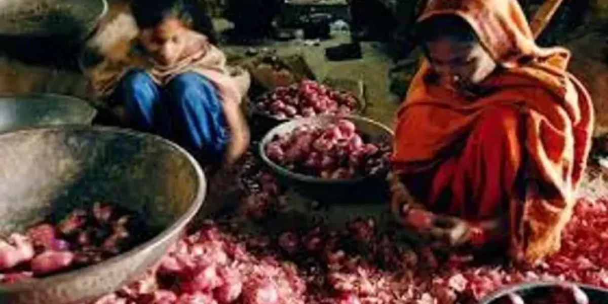 Report: Govt imposes 40% duty on onion exports till December 31