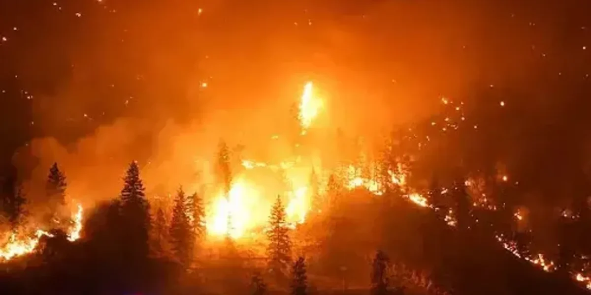 Canada: Thousands flee cities in British Columbia as wildlife rages