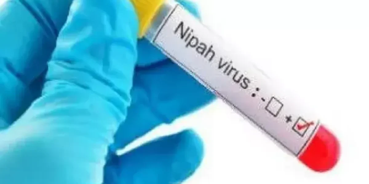 Nipah virus suspected behind ‘unnatural’ deaths in India