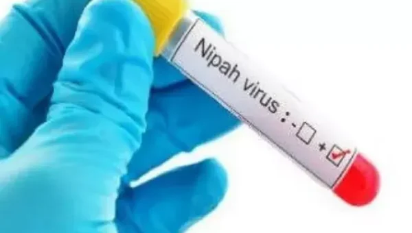 Nipah virus suspected behind ‘unnatural’ deaths in India