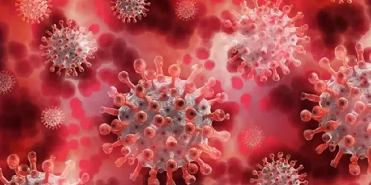Expert Says: “Disease X” Could Bring Next Pandemic which is 7 times deadlier than Covid-19, Read More Here…