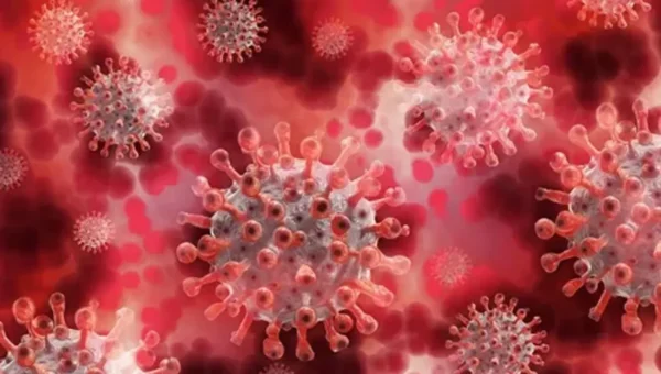 Expert Says: “Disease X” Could Bring Next Pandemic which is 7 times deadlier than Covid-19, Read More Here…