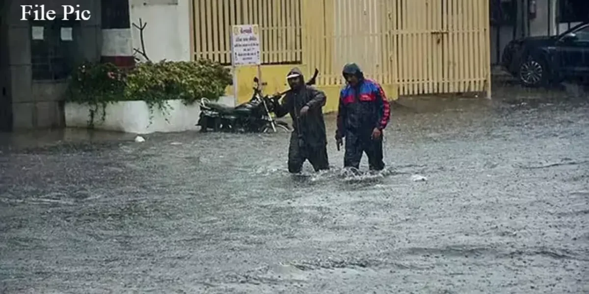 Gujarat Heavy Rain: Several Areas overflowed in Bharuch village, Schools & Colleges shut in Narmada District