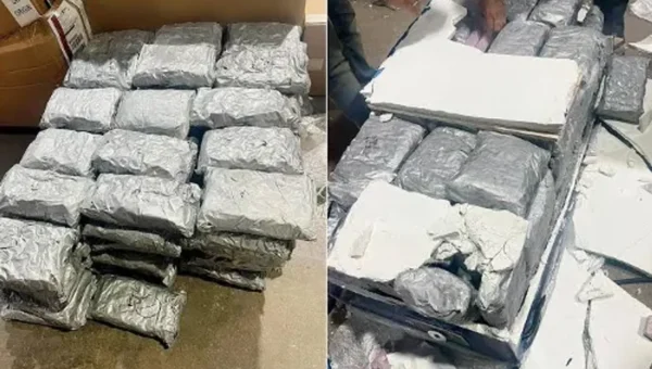 Narcotics found in 20 parcels sent from abroad