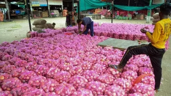 Onion prices double in Delhi-NCR amid festive season