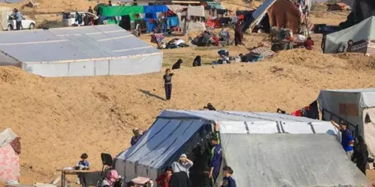 WHO to hold emergency meeting on Gaza health situation on December 10