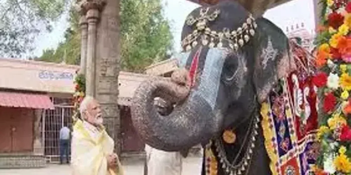 PM Narendra Modi offers prayers at Sri Ranganathaswamy temple, Tiruchirapalli