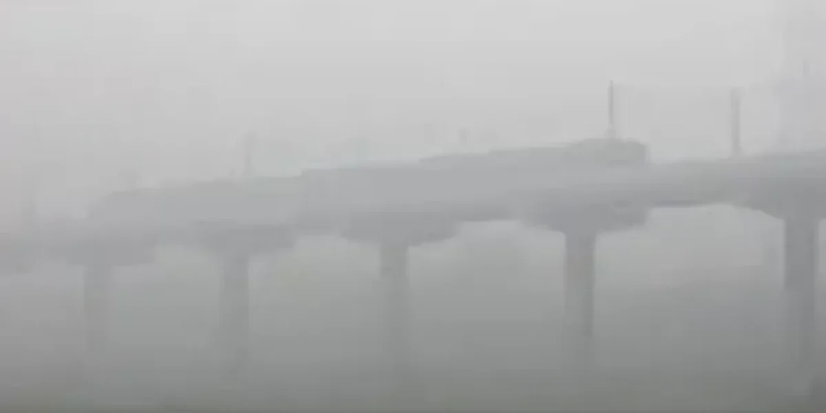 Delhi fog: Poor visibility disrupts life and travel in Indian capital