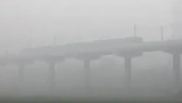 Delhi fog: Poor visibility disrupts life and travel in Indian capital