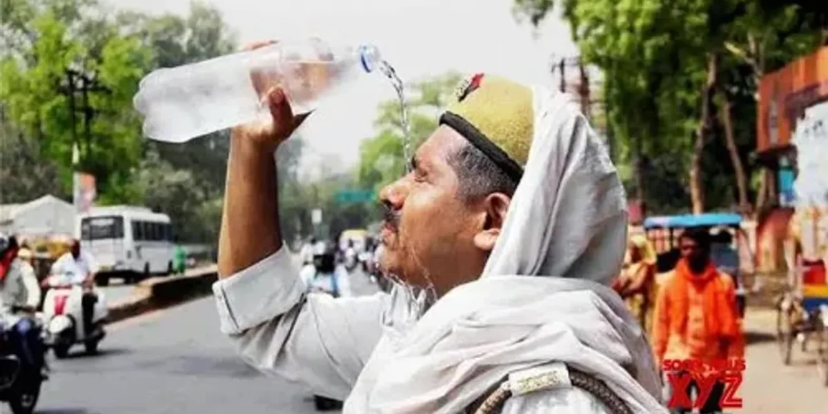 Gujarat confronts climate crisis: Alarming heat waves, extreme weather