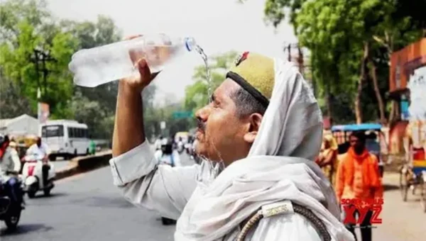 Gujarat confronts climate crisis: Alarming heat waves, extreme weather