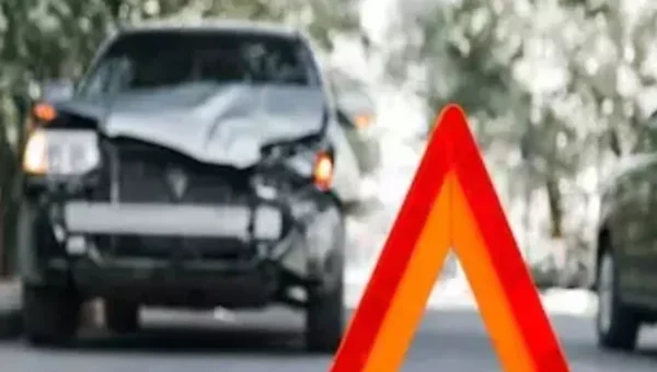 Gujarat man files FIR against himself after wife dies in car crash involving stray dog