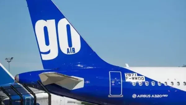 Bankrupt Indian airline Go First gets two financial bids, say bankers