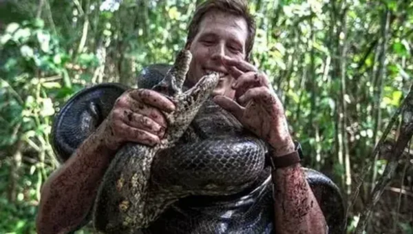 26-Foot-long anaconda discovered in Amazon rainforest is the world’s biggest snake