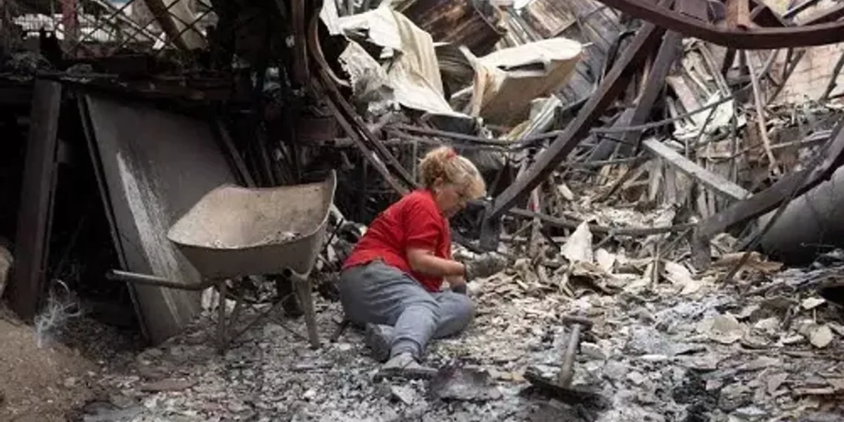 Forest fire: Chile declares state mourning as death toll touches 112, several missing