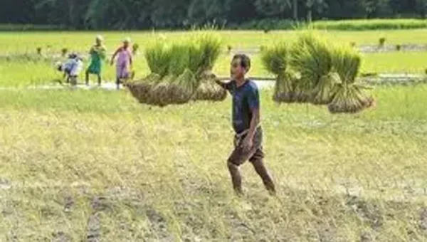 Enrolment under Pradhan Mantri Fasal Bima Yojana increases by 27 percent in current fiscal so far