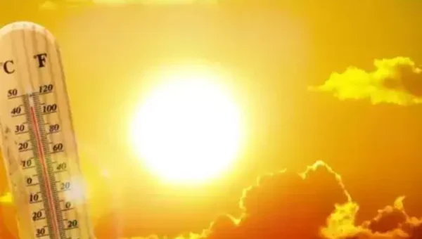 Karnataka, Gujarat, Rajasthan see temperatures above 40 degrees, IMD issues heatwave warning