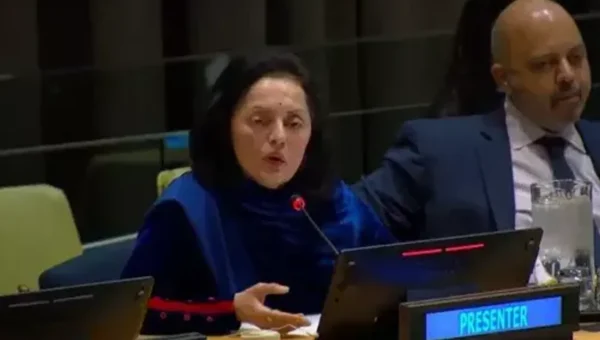 New Delhi emphasises on need for immediate reforms to United Nations Security Council