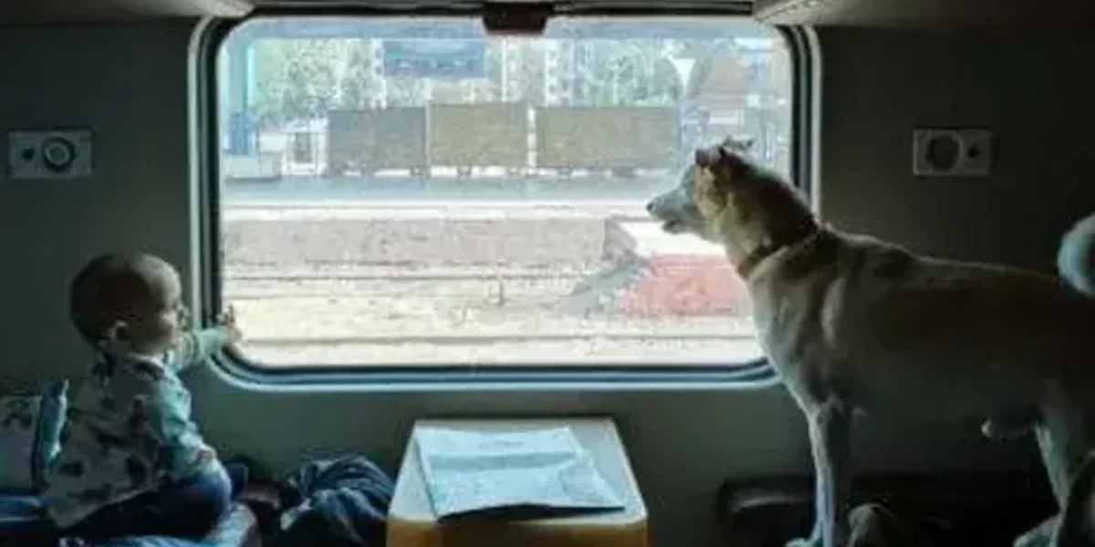 Thousands of Pets travel by train from Pune Station