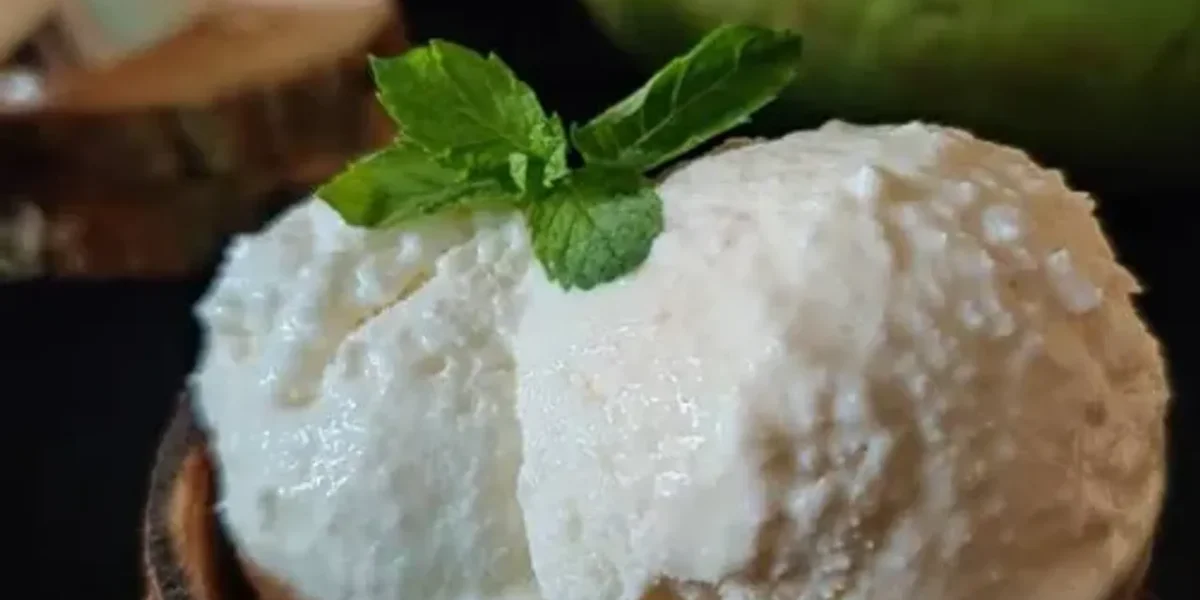 Tender Coconut Ice Cream Recipe: Tender Coconut Ice Cream is super creamy and soft in texture