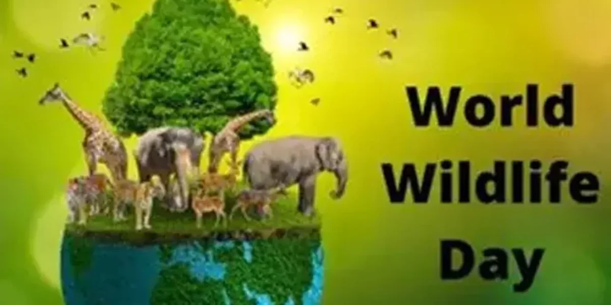 World Wildlife Day being observed today