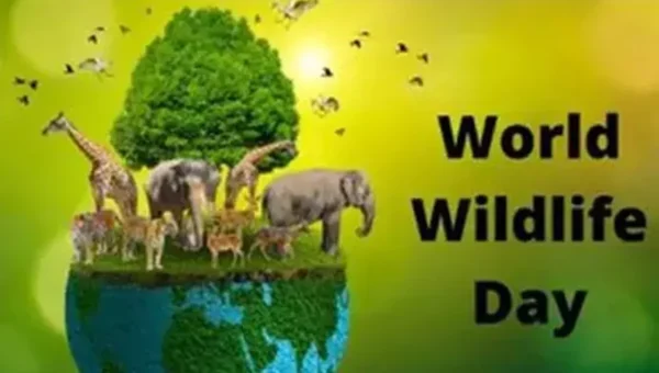World Wildlife Day being observed today