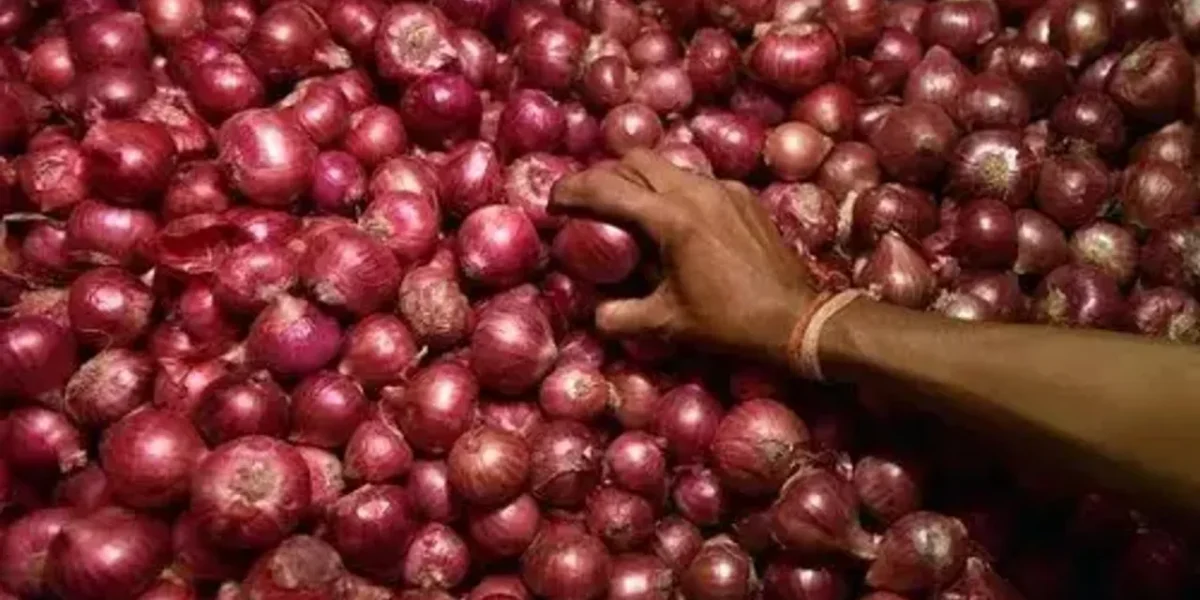 Centre allows export of 99,150 MT onion to six countries