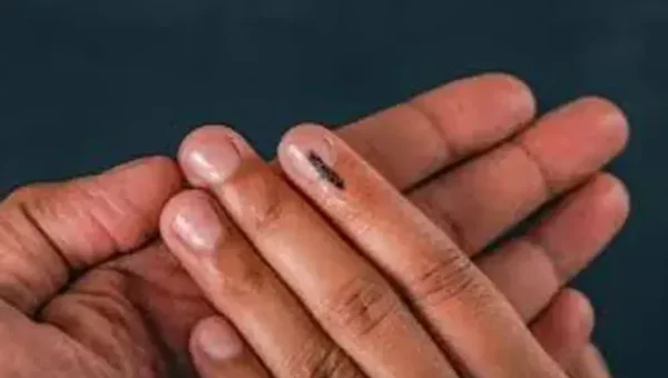 Lok Sabha elections 2024 phase 3: Gujarat to vote for all 25 seats on May 7