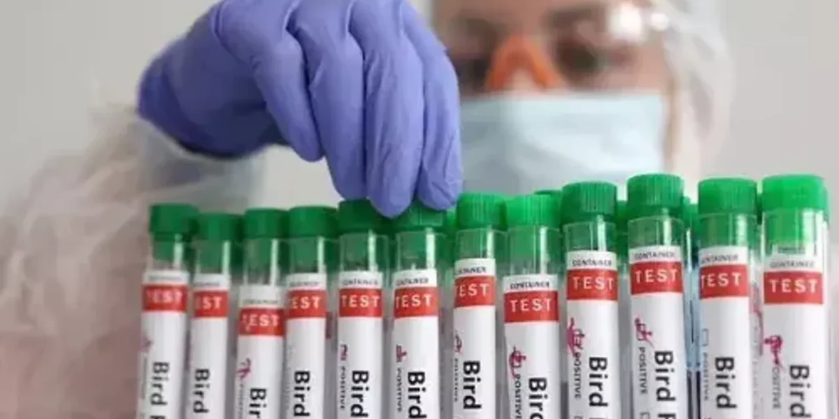 US CDC issues advisory for bird flu crisis in country