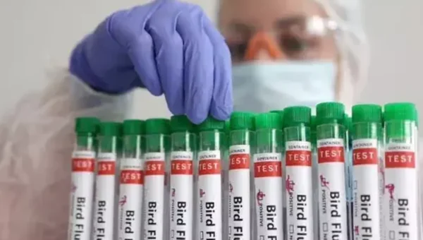 US CDC issues advisory for bird flu crisis in country