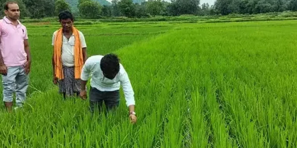 Adani Foundation introduces tribal farmers at ACC Chaibasa site to sustainable irrigation techniques for year-round yield of Rajasthan