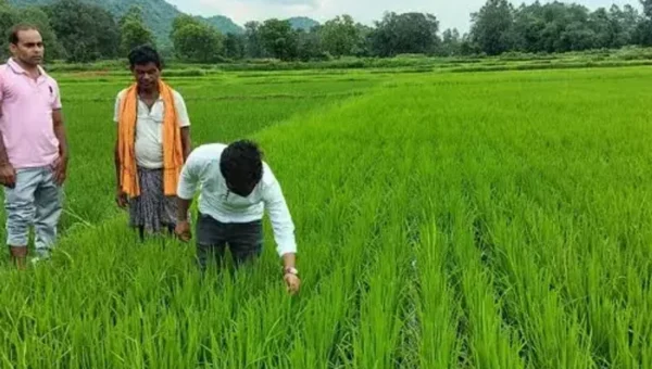 Adani Foundation introduces tribal farmers at ACC Chaibasa site to sustainable irrigation techniques for year-round yield of Rajasthan