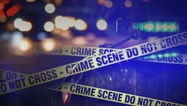 Indian-origin woman stabbed to death at bus stop in London