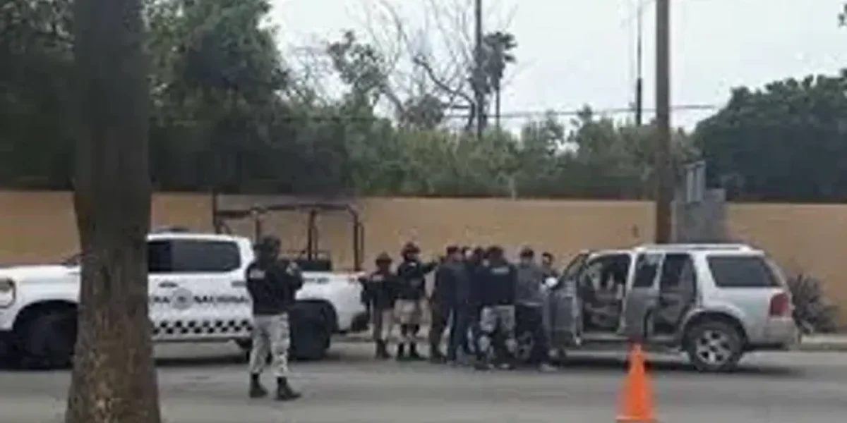 Mexico: 3 bodies recovered in Baja California during search for missing foreigners