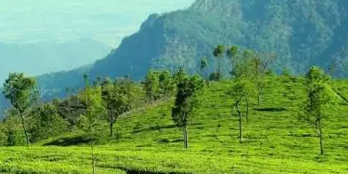 E-passes mandatory for visitors travelling to Ooty, Kodaikanal in Tamil Nadu from May 7