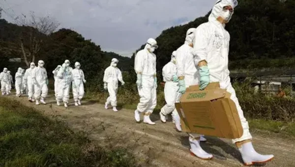 US Health officials to spend $100 Million on bird flu surveillance