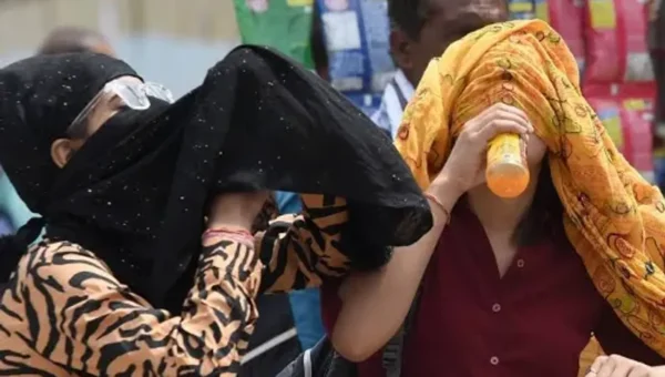 Mercury reaches 44.9°C in Ahmedabad, 61% rise in medical emergency