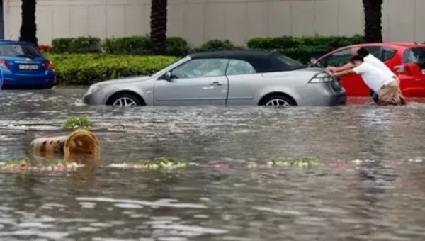 Dubai rain: Heavy showers disrupt flights; schools closed
