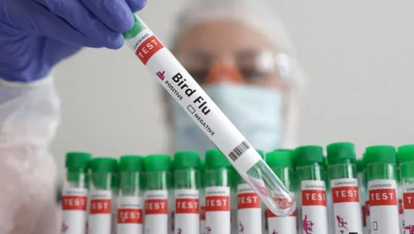 Report: No fresh case of human infection of avian influenza in Bengal