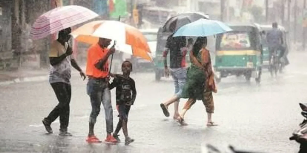 Heavy rain haunts many parts of South Gujarat