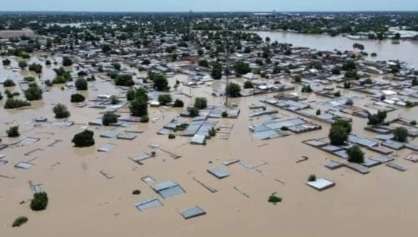 Zoo animals roam streets as floods hit north Nigeria