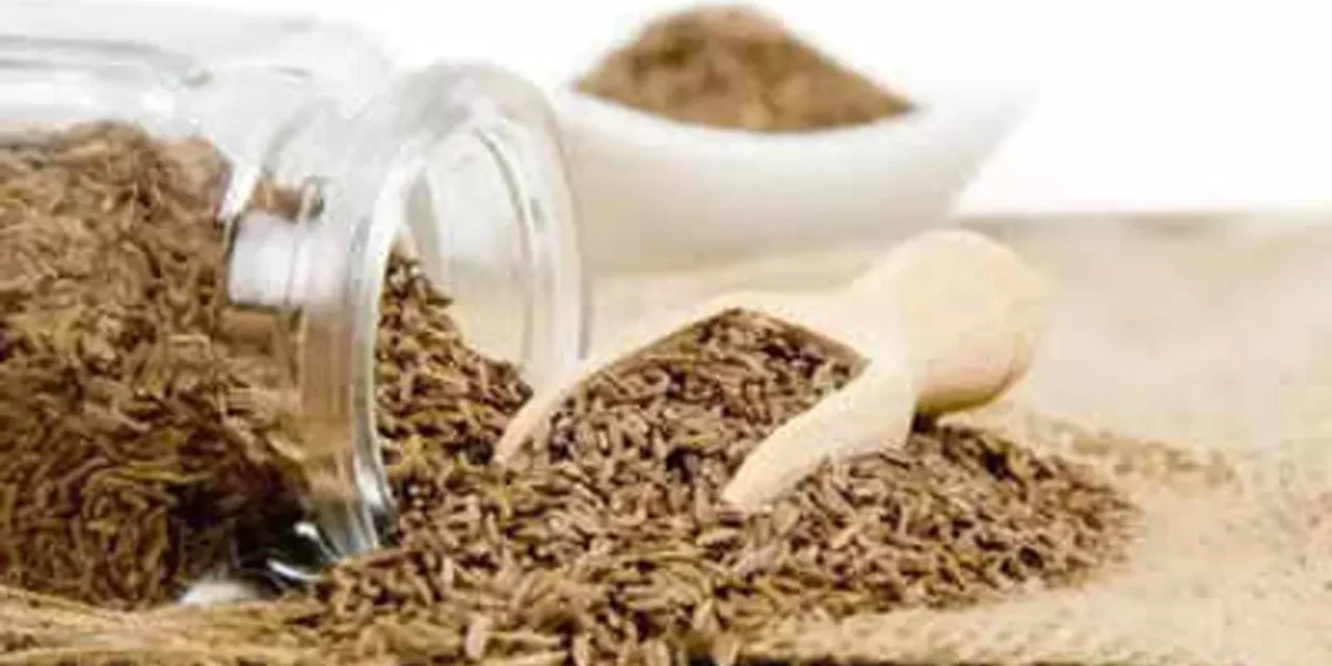 Middle East tension boosts jeera exports from Gujarat