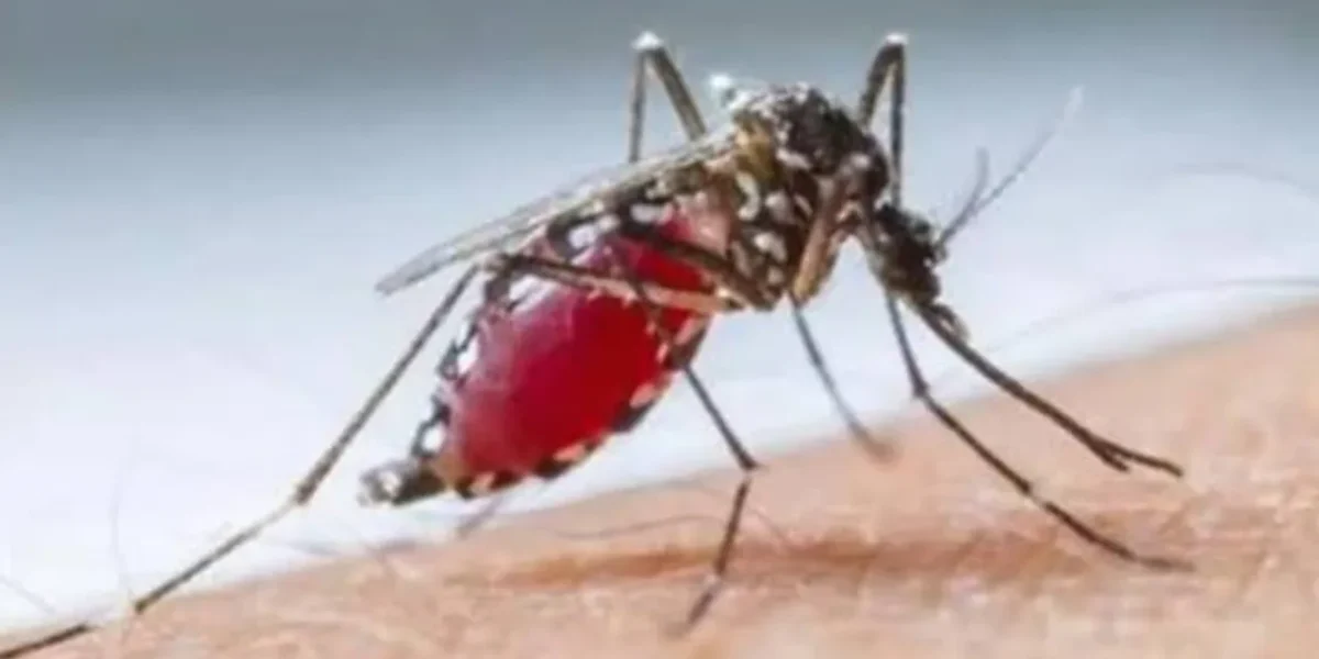 Dengue cases decline in Lucknow