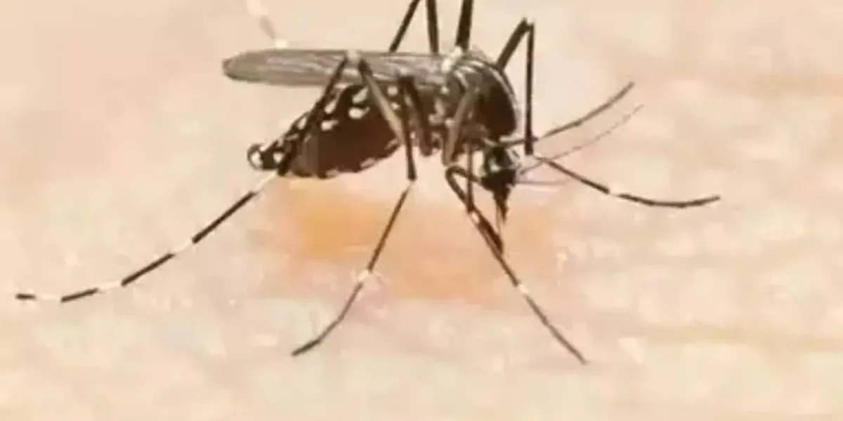 Dengue cases climb to 175 in Gurugram, 4 new cases confirmed