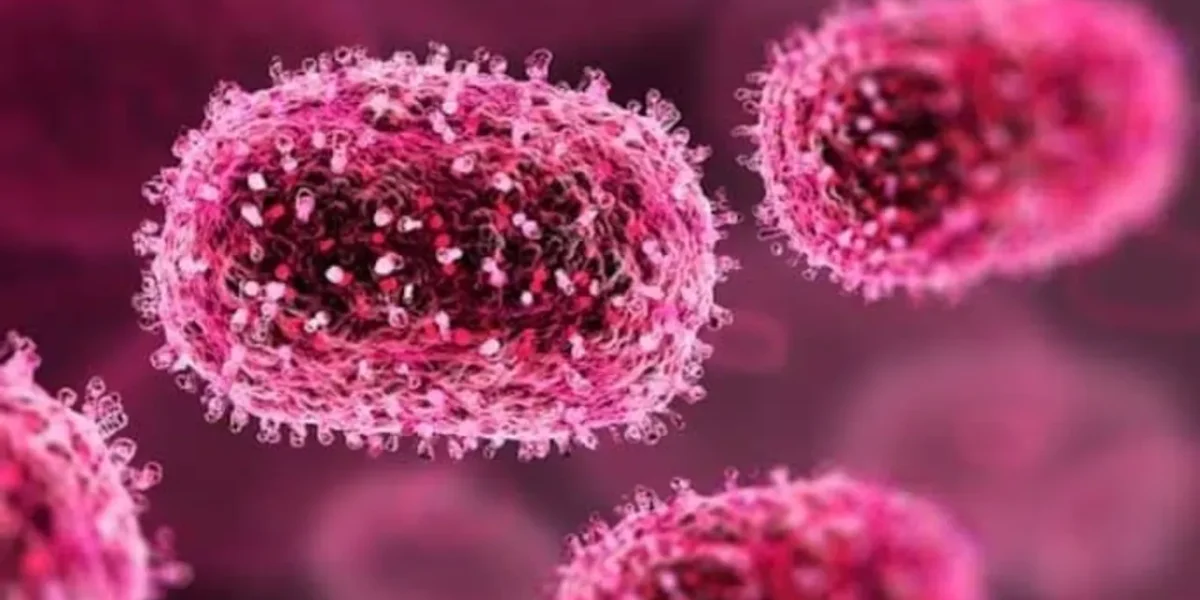 Gujarat: Viral infection cases rises in Ahmedabad