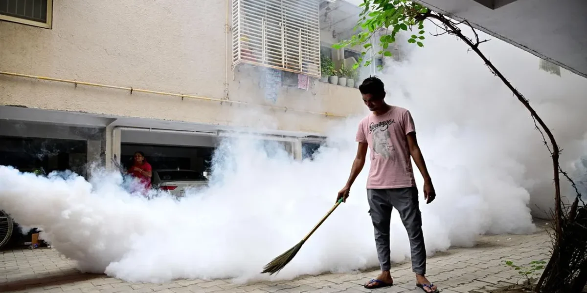 Over 12,000 dengue cases reported in Ernakulam since January