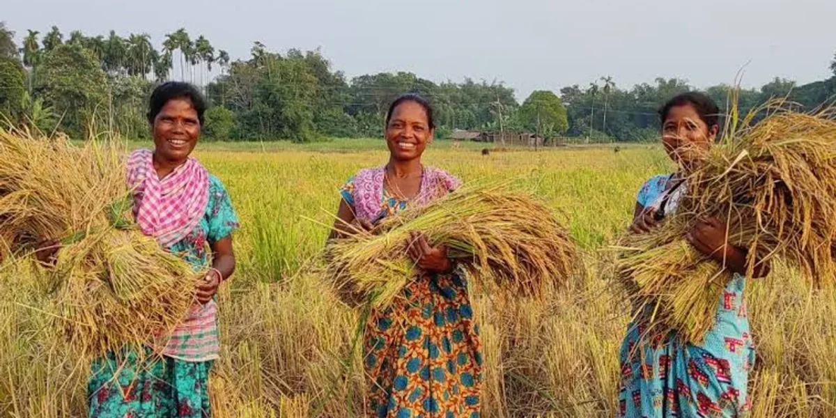 Tribal Farmer’s Success Story: Embracing natural farming in Wankla Village