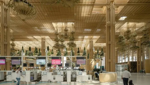Bengaluru airport’s Terminal 2 gets 4000 sq feet ‘Tiger Wall’