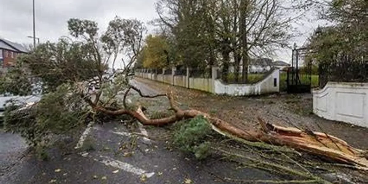 About 22,000 remain without power in Northern Ireland amid Storm Darragh