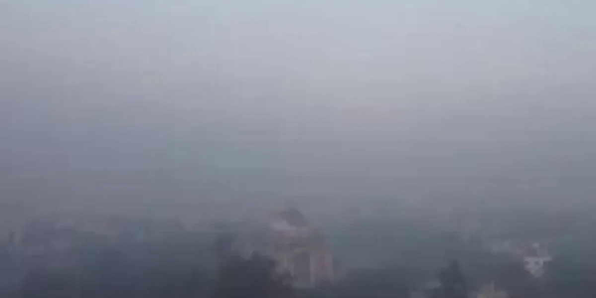 Delhi shivers in cold wave amid dense fog